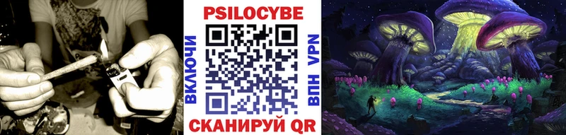blacksprut tor  Болгар  Псилоцибиновые грибы мухоморы 